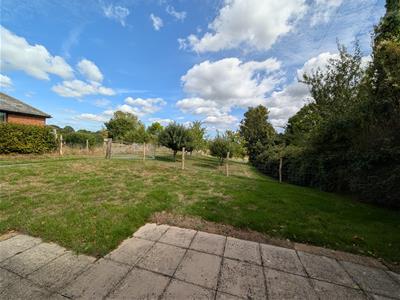 Picture 17